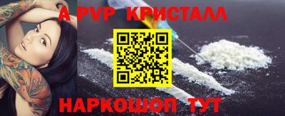 сатива Кингисепп