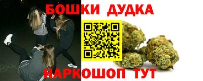 сатива Кингисепп
