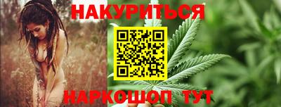сатива Кингисепп