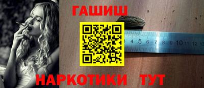 сатива Кингисепп