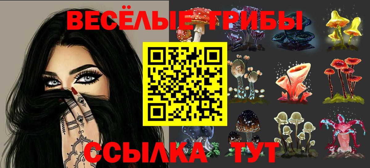 Галлюциногенные грибы ЛСД Красноармейск