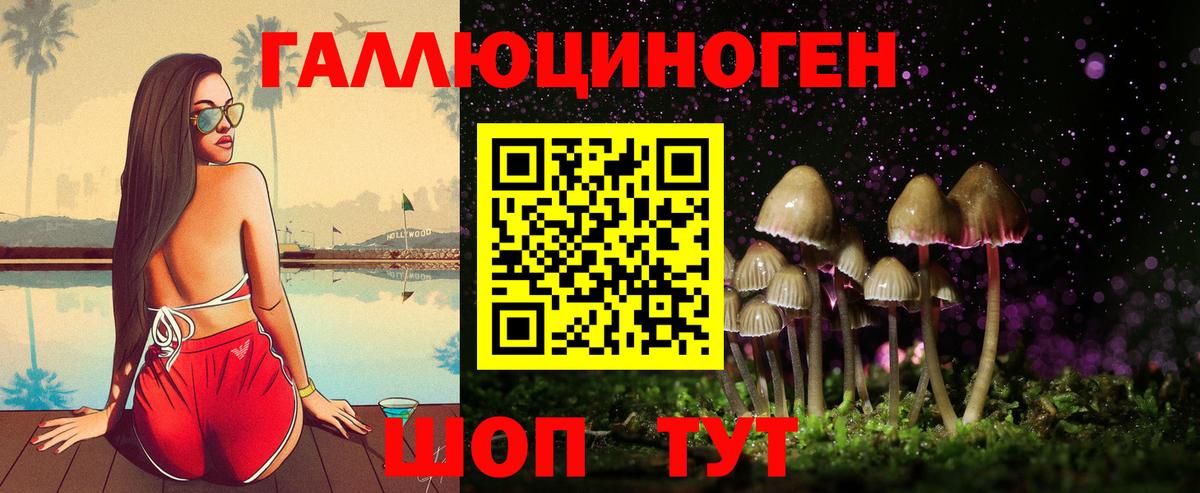 Галлюциногенные грибы GOLDEN TEACHER  Вход с VPN  Красноармейск 